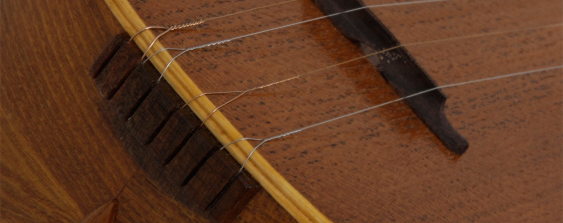 Setar instrument